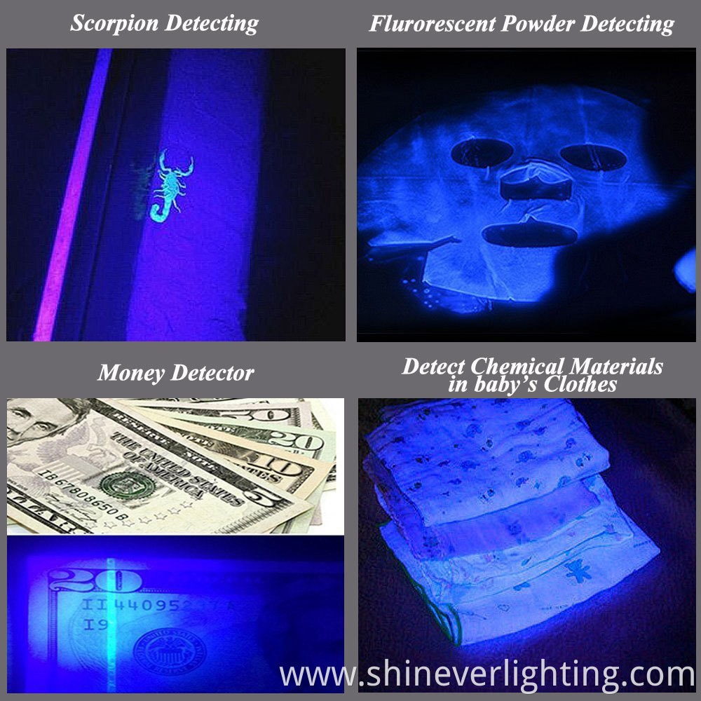 waterproof Uv Flashlight